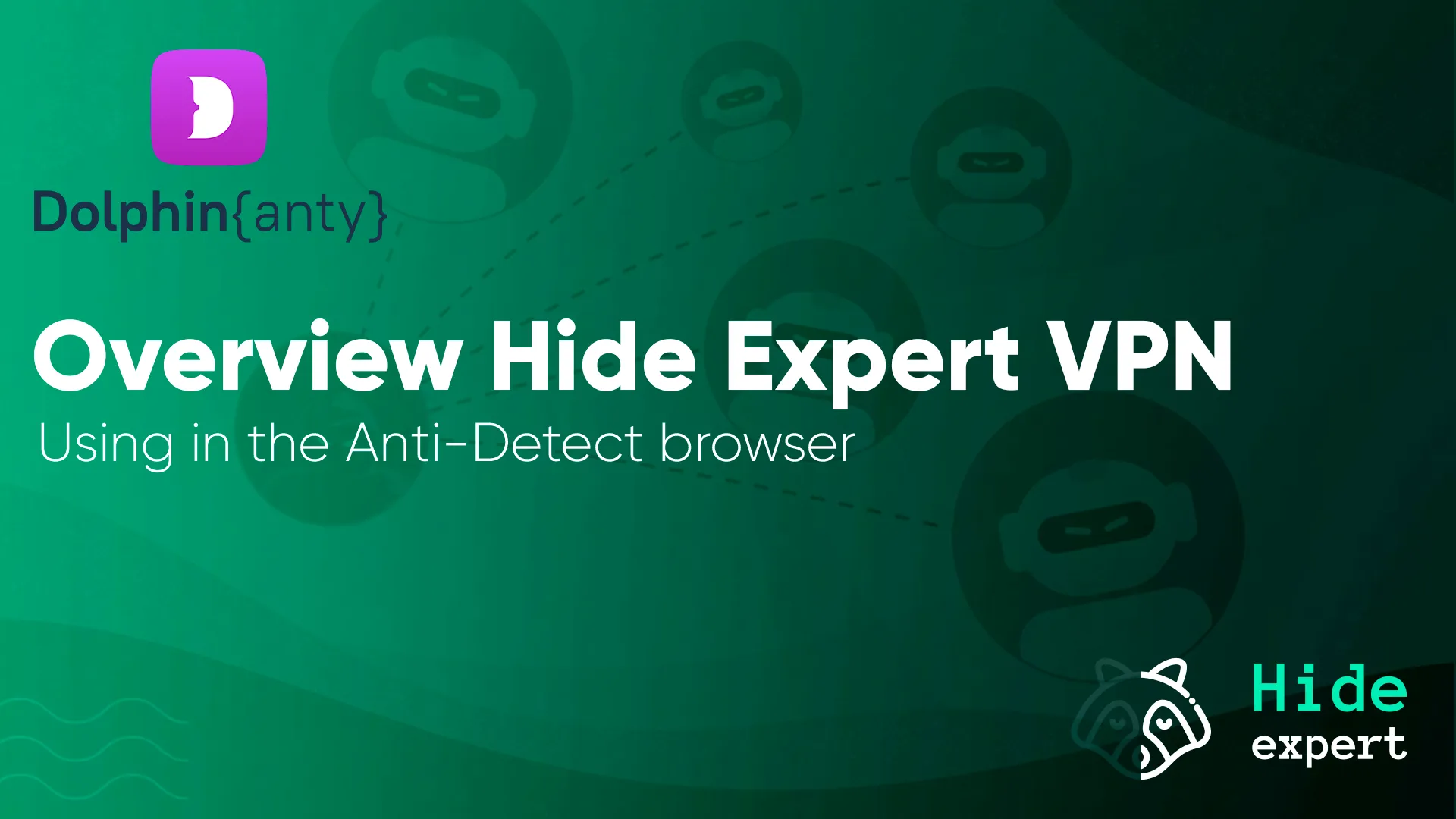 Why Dolphin Anty and Hide Expert Work So Well Together